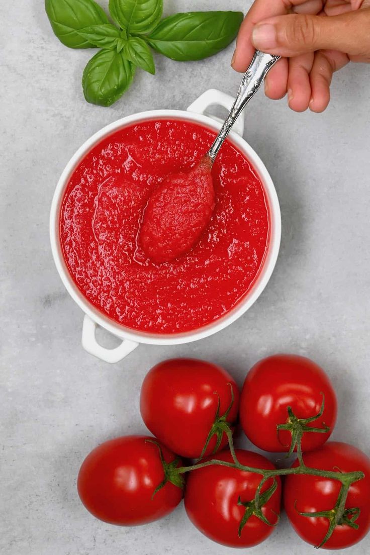 Organic Iranian Tomato Paste in Bulk for School Feeding Initiatives; Bulk Prices & Transparent Documentation